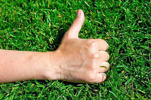 Thumbs up in front of green lawn